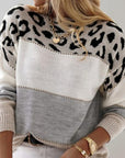 Diane | Leopard Accent Knit Sweater