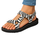 Zebra - Black