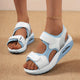 White/Blue