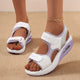 White/Purple