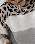 Charlene | Leopard Print Casual Sweater