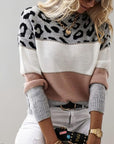 Charlene | Leopard Print Casual Sweater